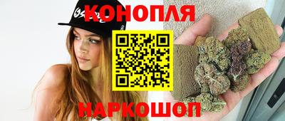 крисы Изобильный