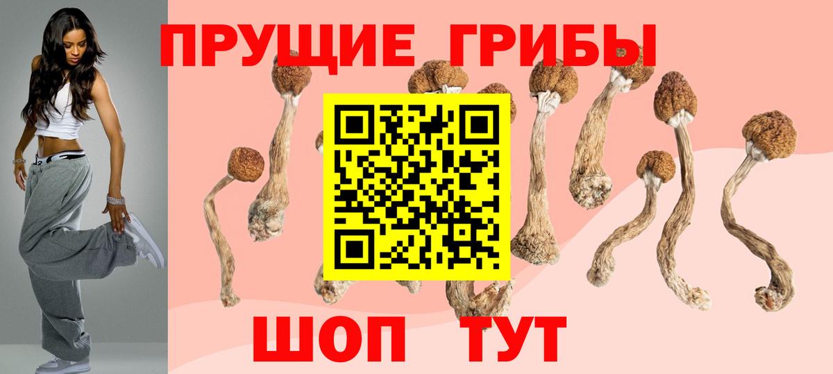 Псилоцибиновые грибы мухоморы  Вход с VPN  Вологда 
